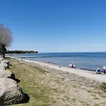 Ostseeseele *