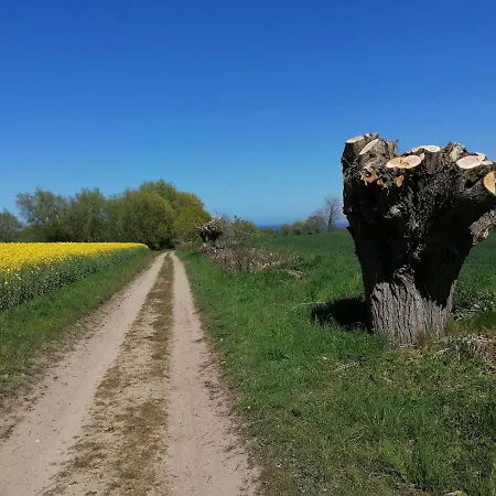 Ostseeseele Moor-Rolofshagen