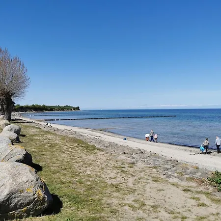 Ostseeseele *