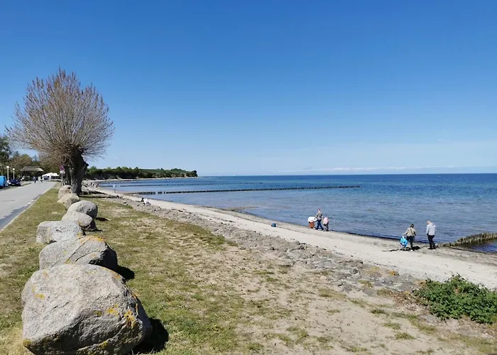 Ostseeseele *